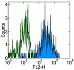 CD115 (c-fms) Antibody in Flow Cytometry (Flow)