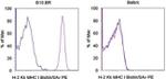 MHC Class I (H-2Kk) Antibody in Flow Cytometry (Flow)