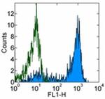 CD62L (L-Selectin) Antibody in Flow Cytometry (Flow)