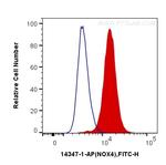 NOX4 Antibody in Flow Cytometry (Flow)