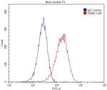 ACTA2/smooth muscle actin Antibody in Flow Cytometry (Flow)