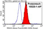 MSH2 Antibody in Flow Cytometry (Flow)