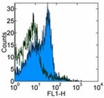 CD28 Antibody in Flow Cytometry (Flow)