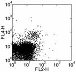 CD314 (NKG2D) Antibody in Flow Cytometry (Flow)