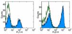 TCR beta Antibody in Flow Cytometry (Flow)