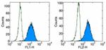 CD279 (PD-1) Antibody in Flow Cytometry (Flow)