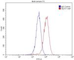 PDGFRL Antibody in Flow Cytometry (Flow)