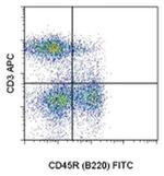 CD3 Antibody in Flow Cytometry (Flow)