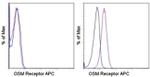 OSMR Antibody in Flow Cytometry (Flow)