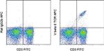 TCR V beta 6 Antibody in Flow Cytometry (Flow)