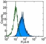 CD309 (FLK1) Antibody in Flow Cytometry (Flow)