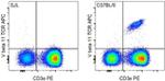 TCR V beta 11 Antibody in Flow Cytometry (Flow)