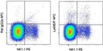 Ly-49E/F Antibody in Flow Cytometry (Flow)