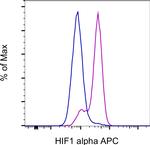 HIF-1 alpha Antibody in Flow Cytometry (Flow)