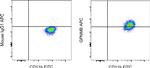 GPNMB Antibody in Flow Cytometry (Flow)