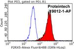 P2RX5 Antibody in Flow Cytometry (Flow)