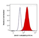 EEF2 Antibody in Flow Cytometry (Flow)