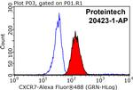 CXCR7 Antibody in Flow Cytometry (Flow)