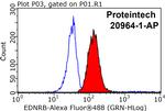 EDNRB Antibody in Flow Cytometry (Flow)