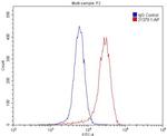 CHRNA7 Antibody in Flow Cytometry (Flow)