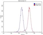 PVRL4 Antibody in Flow Cytometry (Flow)