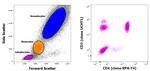 CD3/CD4 Antibody