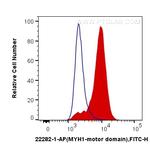 MYH1-internal Antibody in Flow Cytometry (Flow)