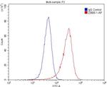 FSHR Antibody in Flow Cytometry (Flow)