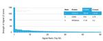 ICOS-L/ICOS Ligand/B7RP-1 (Immuno-Oncology Target) Antibody in Peptide array (ARRAY)