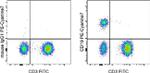 CD19 Antibody in Flow Cytometry (Flow)