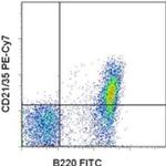 CD21/CD35 Antibody in Flow Cytometry (Flow)