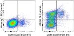 CD226 (DNAM-1) Antibody in Flow Cytometry (Flow)