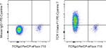 TCR V beta F1 Antibody in Flow Cytometry (Flow)