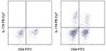 IL-17A Antibody in Flow Cytometry (Flow)