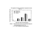 Mouse CXCL12 (SDF-1a) Protein in Functional Assay (FN)