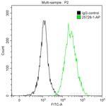 HBG1 Antibody in Flow Cytometry (Flow)