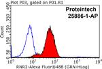 humanin Antibody in Flow Cytometry (Flow)