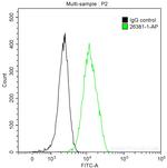 VEGFA Antibody in Flow Cytometry (Flow)