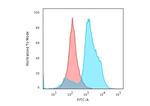 Histone H1 (Pan Nuclear Marker) Antibody in Flow Cytometry (Flow)