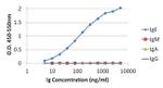 Human IgG (H+L) Cross-Adsorbed Secondary Antibody in ELISA (ELISA)