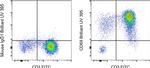 CD69 Antibody in Flow Cytometry (Flow)