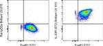 IL-33R (ST2) Antibody in Flow Cytometry (Flow)