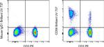 CD56 (NCAM) Antibody in Flow Cytometry (Flow)