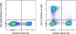 CD11b Antibody in Flow Cytometry (Flow)