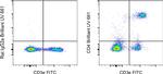 CD4 Antibody in Flow Cytometry (Flow)