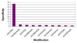 Histone H3K9ac Antibody in ELISA (ELISA)