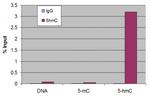 5-Hydroxymethylcytosine (5-hmC) Antibody in Methylated DNA Immunoprecipitation (MeDIP)