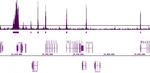 Histone H3K9ac Antibody in ChIP-Sequencing (ChIP-Seq)