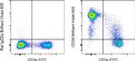 CD38 Antibody in Flow Cytometry (Flow)