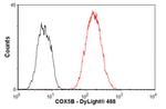 COX5B Antibody in Flow Cytometry (Flow)